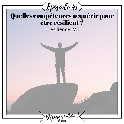 Quelles compétences pour accueillir les difficultés ?(résilience 2/3)