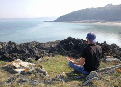 sylvain viens méditation